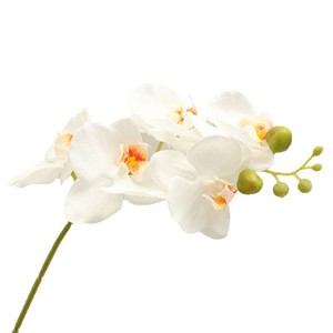 Orquídea Phalaenopsis Blanca de Tallo Corto Simulada de Alta Calidad, Planta Artificial para Fotografía con Tacto Húmedo y Realista - Product Image 5