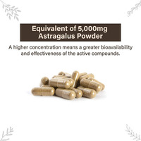 Meilleur prix pour un stimulant immunitaire, extrait de racine d'astragale en poudre 10:1, capsule d'astragale pour soutenir l'immunité