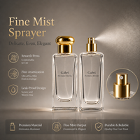 Flacon de parfum personnalisé à vaporisation fine, 100 ml, 50 ml, flacon de parfum carré vide, flacon de parfum en verre de 30 ml avec boîte