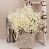 YC1083 bouquet de plantes artificielles en plastique Artemisia brouillard Long manche pour mariage maison hôtel bureau décoration plantes à fleurs