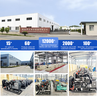 Groupe électrogène diesel silencieux Ricardo haute fiabilité 50 kW triphasé quatre fils 12 V CC avec ATS et contrôle automatique insonorisé