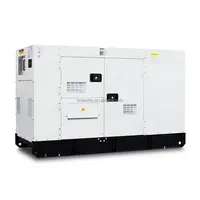 Elektrisches Aggregat mit kleiner Leistung 8kW 10 kWa 12 kWa 15 kWa 20 kWa 25 kWa Diesel generator leise mit Yangdong Perkins-Motor