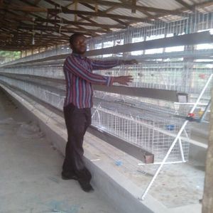 New 3-Lớp Stackable Gà Lồng Không Gian Hiệu Quả Thép Thiết Kế Cho Trong Nhà Nâng Lên Tự Động Một Loại Gà Coop Nhà - Product Image 2