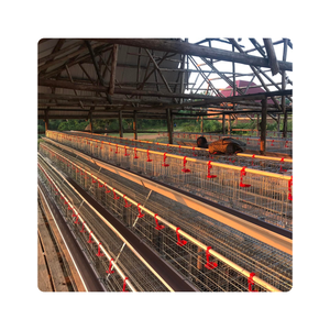 Jaula para Gallinas Ponedoras, Jaula para Aves <span class=keywords><strong>de</strong></span> Corral, para <span class=keywords><strong>Guinea</strong></span> - Product Image 4