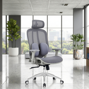 Silla de oficina ergonómica con ajuste de altura, soporte lumbar de diseño de malla moderno, silla ejecutiva de plástico para uso doméstico - Product Image 1