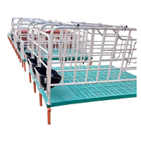 Équipement d'élevage : Barre de positionnement robuste pour gestation, Enclos de gestation galvanisé, Clôture de cage à porcs, Enclos d'engraissement