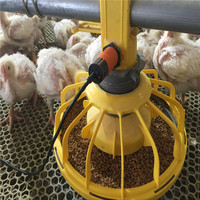 Nouvel équipement d'élevage avicole, ligne d'alimentation automatique pour poulets, bac à poulet en acier galvanisé à haute rigidité
