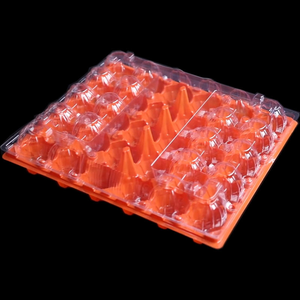 Shengyiyuan 4 9 10 15 20 30 trous plateaux à oeufs en plastique <span class=keywords><strong>PET</strong></span> plateau de conteneur d'emballage d'oeufs de poulet avec couvercle - Product Image 2