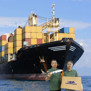 Gratis Sample Beste Istanbul Expediteur Vanuit China Japan Zeevracht Tarieven naar Brazilië Zeevracht - Product Image 3