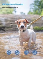 Collier de dressage pour chien 2 en 1, rechargeable, étanche IP67, portée 1000m, anti-aboiement par choc et vibration, pour la formation de plusieurs chiens