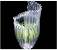 Sac à colonnes d'air en PA/PE épaissi, anti-perforation et anti-compression, pour 13/15 fruits (Kirin, Pastèque, Melon Hami), vente en gros usine