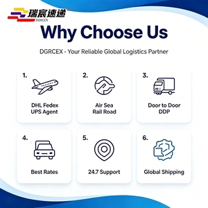 Door-to-door Pickup and Delivery, Including Customs Clearance and All-inclusive Duties. - Product Image 4