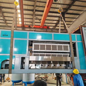 Полностью Автоматическая производственная линия лотка для яиц - Product Image 5