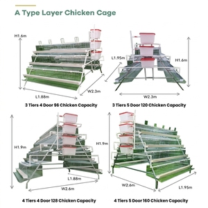 Cage à poules pondeuses de type A, 3/4 niveaux, pour 10 000 poules pondeuses, vente chaude pour l'élevage - Product Image 3
