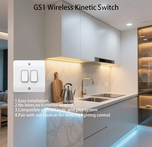 Nhà thông minh 2 gang cho động chuyển đổi <span class=keywords><strong>push</strong></span> <span class=keywords><strong>button</strong></span> không dây điều khiển từ xa tường thiết bị chuyển mạch tương thích RF433 cho nhà thông minh các thiết bị - Product Image 5