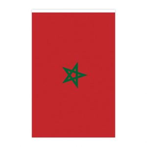 Morocco String <b>Flag</b> Polyester Fabric National Country <b>Flag</b> for Birthday Party Festival Decoration - Product Image 2