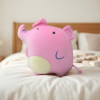 Nouvel oreiller de sommeil en peluche personnalisé, coussin décoratif en forme de cochon anime pour apaiser le corps, personnalisable