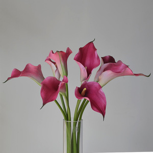 Grandes fleurs artificielles Calla Lily en EVA : Bouquet en silicone doux au toucher pour la décoration intérieure - Product Image 1