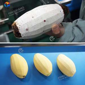 มะม่วงมะละกอผลไม้อุปกรณ์ปอกเปลือกอัตโนมัติ8หัว - Product Image 3