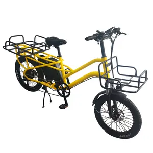 Wholesale 48v 350w Long Range Ebike With 2 Seat Alloy Electric Cargo Bike With Carrier For Family Vacation