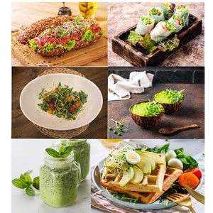 Nạp microgreen bao gồm cải xoăn và củ cải daikon và arugula và microgreen hữu cơ mù tạt và 4 thảm - Product Image 6