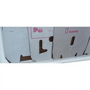 Boîte en carton ondulé 3 plis entièrement imprégnée de cire, personnalisée et imprimée - Boîte de rangement écologique pour céréales, chaîne du froid, aliments frais - Product Image 6