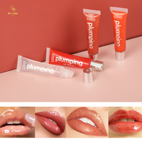 Maquillage professionnel brillant à lèvres augmenter l'élasticité des lèvres huile essentielle de brillant à lèvres végétalienne huile naturelle hydratante pour les lèvres plus dodue