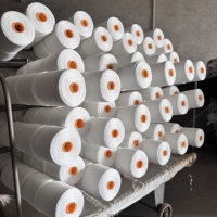 Benang Rajut Polyester 100% Berkualitas Tinggi, Susut Rendah, 20s/2 20s/3 21s/2 21s/3, Bahan Baku Dasar Benang Jahit Tas
