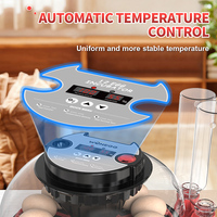 WONEGG Nouvelle Tendance Incubateur Solaire Automatique 12 Œufs avec Fenêtre Transparente à Dubaï Prix Compétitif