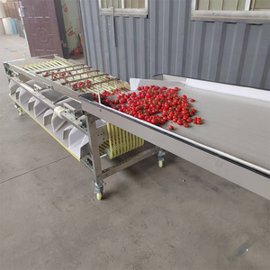 Máquina Automática de Clasificación de Frutas por Tamaño, para Tomate Cherry, Naranja y Kumquat - Product Image 5