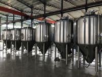 Cuve de Fermentation Conique en Acier Inoxydable de Qualité Alimentaire Tonsen avec Manomètre, Capacité 25-45 Mètres Cubes, 20/380V