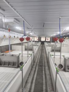 Soins optimaux pour porcs Caisse de croissance pour porcelets Nouvelle condition Équipement de ferme d'élevage Cage pour animaux d'engraissement - Product Image 3