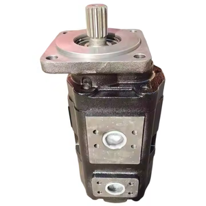 Pompe à engrenages hydraulique double en fonte noire mate antirouille monobloc, vente en gros en vrac de l'usine HUAMAO - Product Image 6