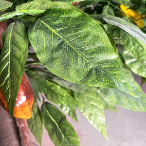 Cây ca cao cây trang trí nhân tạo một cây ăn quả ca cao để bán cây nhựa cây ca cao - Product Image 2