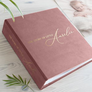 Custom Gold Foil Blush rosa velluto Baby foto Album vite legante Slip in foto 8x10 trasparente PP Pocket Memory Book - Product Image 3