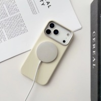 Coque de téléphone en silicone magnétique avec chargeur sans fil pour iPhone 17 Pro Max, antichoc, protection d'écran incluse, style professionnel
