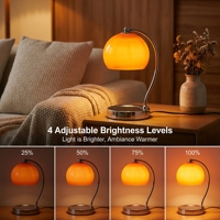 Lampe chauffe-cire à luminosité réglable sur mesure, globe en verre rétro, chauffe-bougie pour chambre et salon