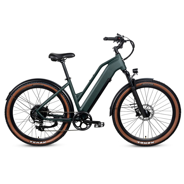 New Design Fat Electric Bike Step-thru Frame OEM/ODM Wholesale Price 750W Motor Strong Power All Terrain Ebike Cheap Bike