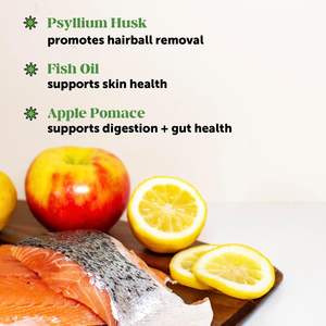 Palla per animali domestici tratta in OEM/ODM con polpa di agrumi e vinaccia di mela per rimuovere delicatamente la palla di pelo di deliziose mastica riempita di gatto - Product Image 2