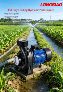 <span class=keywords><strong>Pompe</strong></span> <span class=keywords><strong>solaire</strong></span> DC SHF 1,5 CV portable, légère, facile à transporter et à déplacer, hauteur de refoulement 15 m, pour usage domestique et agricole en zone rurale - Product Image 2