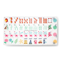 Juego de Mahjong Americano de Acrílico Blanco Tropical Flamingo Preppy Pirate Coastal, 160 Fichas, Ecológico, Duradero, Venta al por Mayor de Fábrica