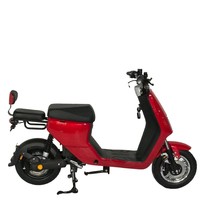 Sepeda Listrik Murah Skuter Listrik Dewasa Sepeda Motor Baterai Tersembunyi Sepeda Listrik (48V 12A)