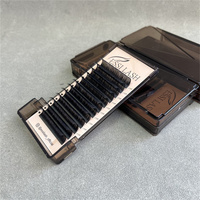 Extensions de cils en cachemire professionnelles en gros, volume complet, faux cils en vison individuels, plateau de cils