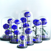 Cadeau floral personnalisé de luxe, beauté intemporelle, cadeau de Noël, fleur éternelle sous cloche en verre, boîte cadeau rose