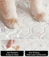 Lit pour animaux de compagnie moderne et respirant en latex lavable, antidérapant, avec motif de dessin animé, mignon et confortable, pour chiens et chats, vente en gros OEM