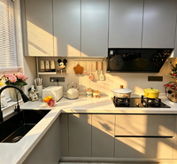 Meubles de cuisine modulaires BALOM, armoires de cuisine modernes à panneaux plats, peintes sur mesure, ensemble de meubles de cuisine pour projet complet de maison, design 3D