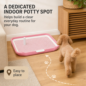 Toilette plate XL pour chien d'intérieur 63x48cm, bac d'apprentissage pour chiot, support pour tapis de propreté, en plastique, lavable, simple, livraison directe UE - Product Image 3