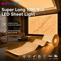Feuille lumineuse LED flexible Raymates ultra-mince, pliable, haute luminosité, 10 m, grand rouleau, taille personnalisée, translucide, rétroéclairage pierre