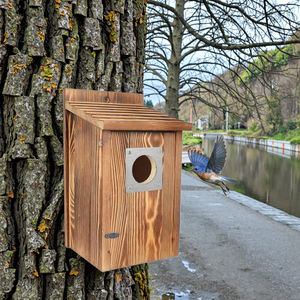 Sağlam kömürleşmiş ahşap yuvalama kutusu açık-uygun ev dekor kuş evi - Product Image 6