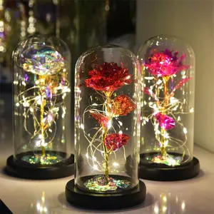 2024 Popular Decoration Gifts Gold Foil Rose Glass Cover Galaxy Rose In Glass Flowers With Lights Glass Geodesic Dome